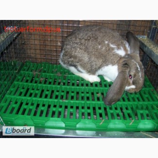 Пластиковые полы для кроликов