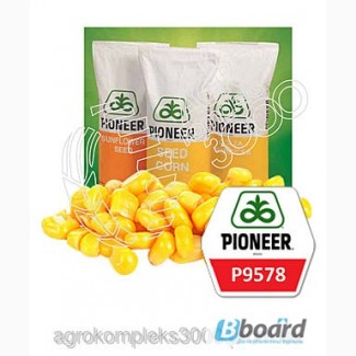 Семена кукурузы Pioneer P9578 (ФАО 350, среднепоздний)