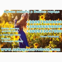 Купим дорого волосы по всей Украине дорого покупаем волосы