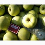 Плодоносящий яблоневый сад в Крыму. Продам