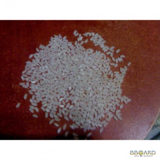 Продам рис сырец, сорт Османджик