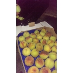 Персик оптом, элитные сорта яблок, абрикоса, сливы, малины