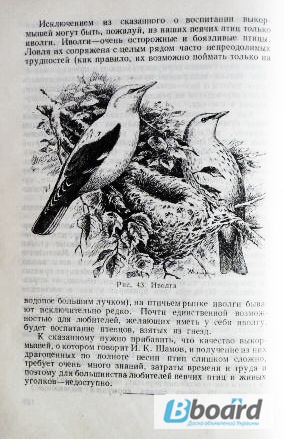 Фото 7. Л. Б. Бёме. Певчие птицы. 1952г