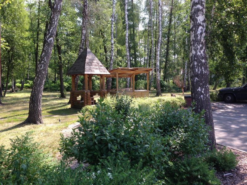 Фото 8. Продам участок с лесом в 19 км от Киева