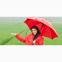 Женский зонт. Необходимый и красивый аксессуар
