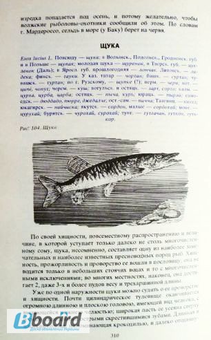 Фото 9. Сабанеев. Рыбы России. Жизнь и ловля (уженье) пресноводных рыб (комплект из 2-х книг)