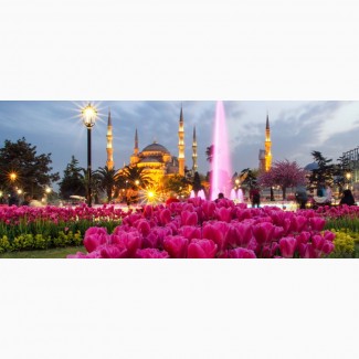 Фестиваль Тюльпанов в Стамбул от 185 $