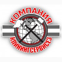 Уборка 3 комнатной квартиры КлинингСервисез, Буча
