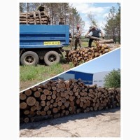 Продам дрова дуб, береза, фруктовые. Доставка