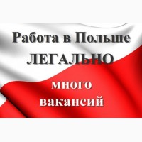 Официальное трудоустройство украинцев в Польше. Новые вакансии