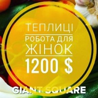 Робота в теплицях для жінок (Чехія) 1200$