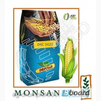 Семена кукурузы Monsanto DKC 3420