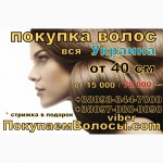 Продать волосы в Одессе дорого Покупаем волосы Одесса Винница Полтава