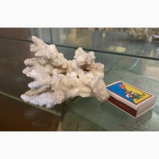 Украшаем аквариум- кораллы