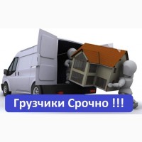 Вывоз мусора, Подбор авто, Услуги грузчиков