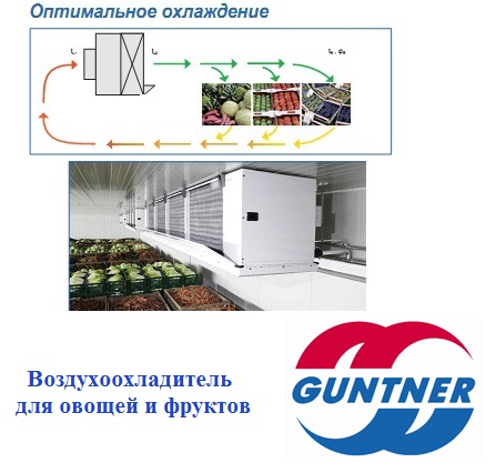 Фото 4. Guntner Agri-Cooler - воздухоохладитель для сельскохозяйственной продукции