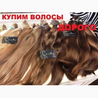 Скупка волос дорого в Украине