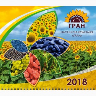 Високоякісне насіння соняшнику від виробника
