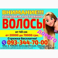 Продать волосы в Киеве дорого Куплю волосы в Киеве дороже всех Скупка волос