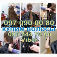 Принимаем волосы в Днепропетровске, продать волосы ежедневно Днепр О933447000