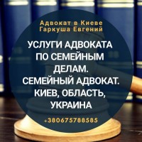 Семейные споры. Адвокат в Киеве