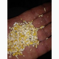 Побічний продукт кукурудзи, зерновідходи від 25 т
