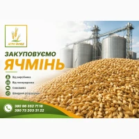 Закупівля ячменю по Україні | Купимо ячмінь від виробника та посередника