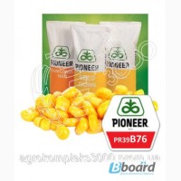Семена кукурузы Pioneer PR39B76 (ФАО 280, среднеранний)