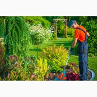 Уход за садом и газоном, услуги садовников