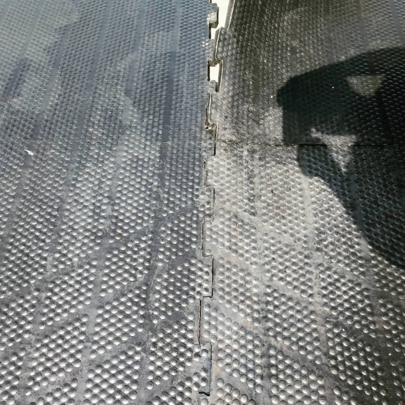 Фото 2. Коврики резиновые, напольное резиновое покрытие для крупного рогатого скота КРС