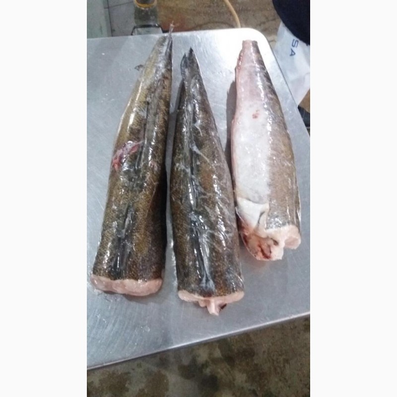 Фото 14. Предлагаем свежую рыбу, креветки, кальмары из Аргентины