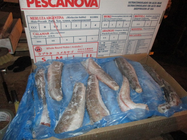 Фото 2. Предлагаем свежую рыбу, креветки, кальмары из Аргентины