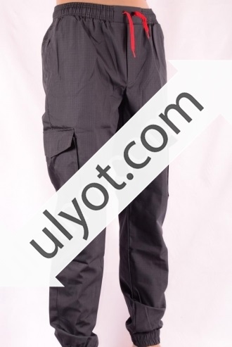 Фото 3. Мужские спортивные штаны оптом от 125 грн