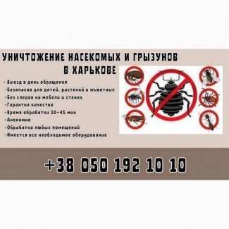 Услуги по дезинфекции от грызунов Харьков