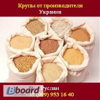 Купить крупы 2015 Рис круглый, длинный. Украина