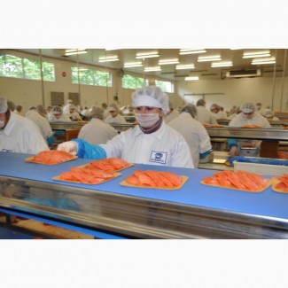 Рабочие на производство рыбной продукции в Польшу