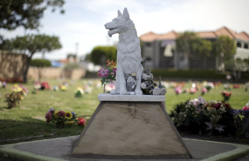Фото 2. Скульптурное надгробие для домашнего животного под заказ
