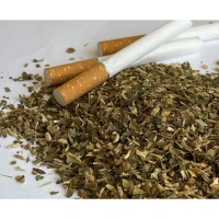 Продам вкусную МАХОРКУ, а также Берли, Богд, Кемел, Вирджиния