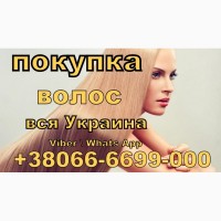 Принимаем Волосы в Украине, Продать волосы Дорого в Украине ООО Скупка Волос Украина