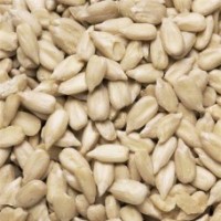 Продам ядро семечки подсолнечника на экспорт от производителя с 20 тонн