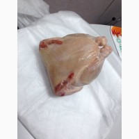 Продам от экспротной компании говядину и курку замороженую