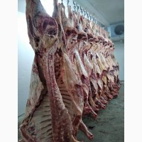 Продам от экспротной компании говядину и курку замороженую