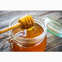 Закупаем майский мед урожая 2021