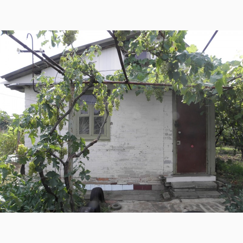 Фото 7. Кирпичный дом на участке 9 соток с садом в 4км от телевышки