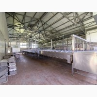 Срочная продажа действующего завода по производству сыра