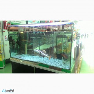 Продам большой выставочный аквариум