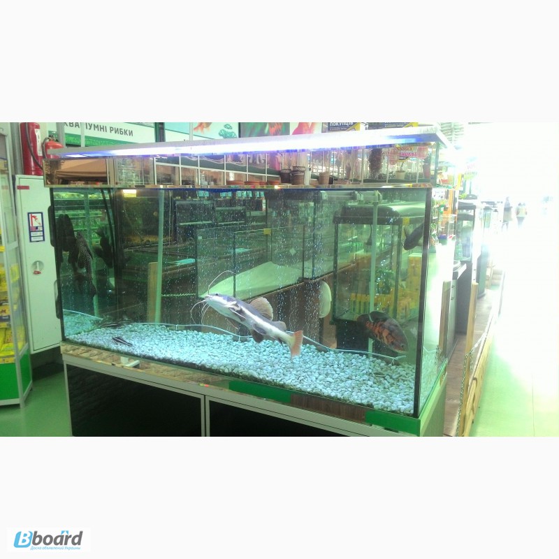 Продам большой выставочный аквариум