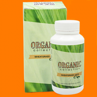 Wheatgrass-средство для похудения из ростков пшеницы от Organic Collection оптом от 50 шт