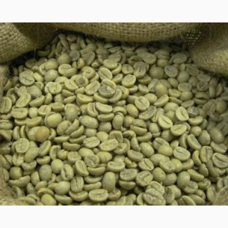 Зеленый кофе Arabica из Индии