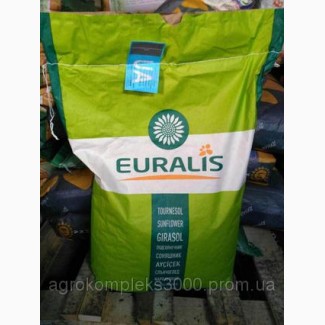 Семена подсолнечника (евралис) ЕС Белла импорт, распродажа 2016 года урожая